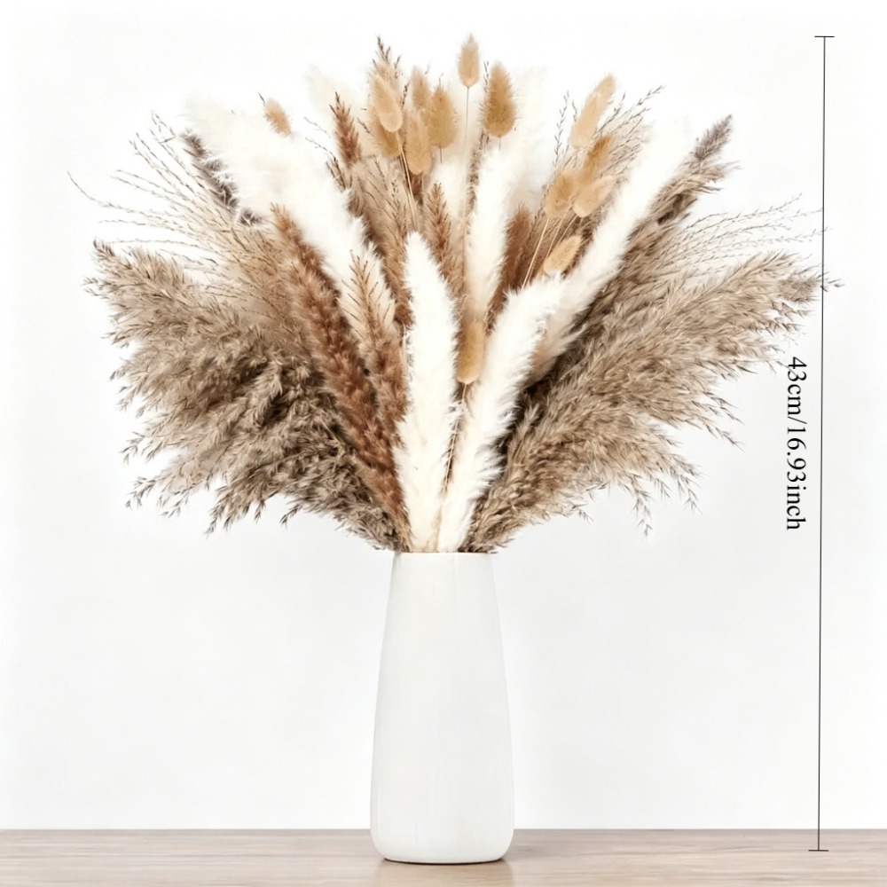 Dried Flowers Brown White Pamp - Pampas Grass Decor recension och pris